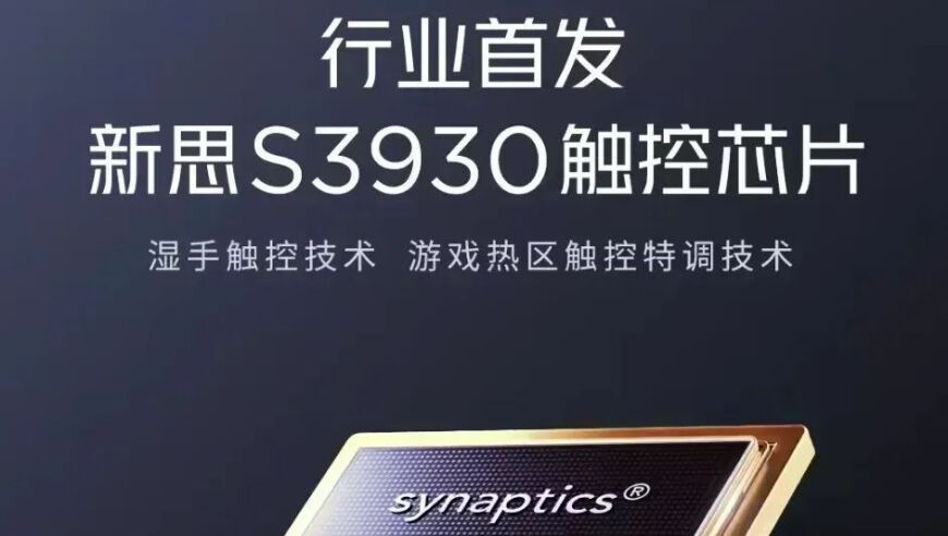 澳门正版免费精准资料2025,十三妖 你真正爱过一个人么,决策资料解释落实_精简版V13.58